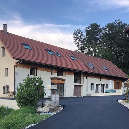 Apartament T4 Meuble De 105M2 Axe Annecy-Geneve Saint-Martin-Bellevue Zewnętrze zdjęcie