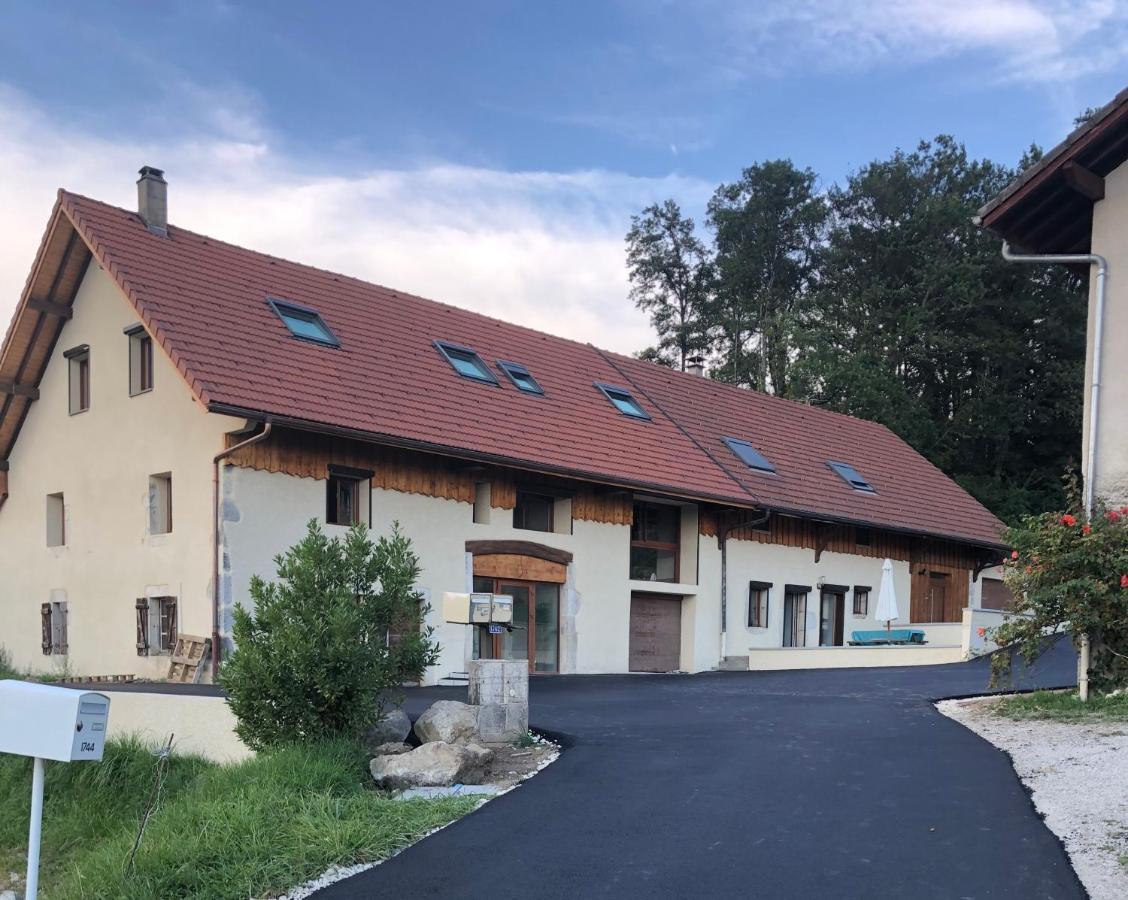 Apartament T4 Meuble De 105M2 Axe Annecy-Geneve Saint-Martin-Bellevue Zewnętrze zdjęcie
